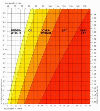 Model Height Weight Chart